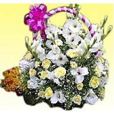 Attractive Orchid Basket