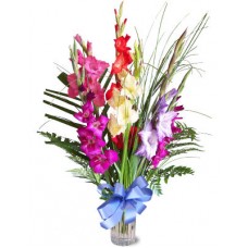 Mixed Coloured Gladiolus with vases