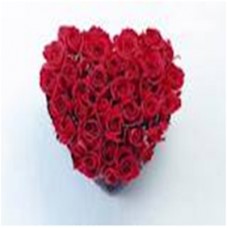 40 Red Roses gift on valentine day
